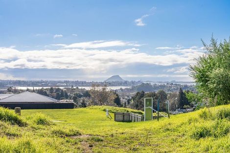 Photo of property in 99 Carmen Way, Ohauiti, 3112