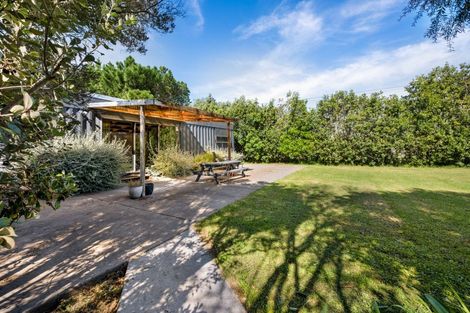 Photo of property in 59 Buchanan Street, Bay View, Napier, 4104