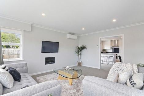 Photo of property in 19 Oxford Street, Richmond, 7020