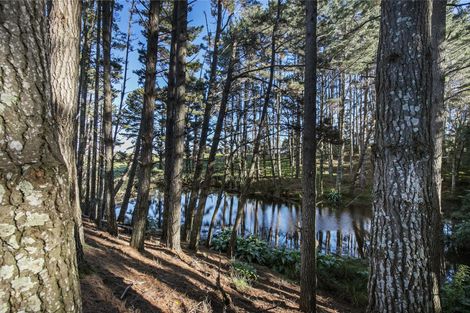 Photo of property in 6 Nandina Lane, Pukekohe, 2120