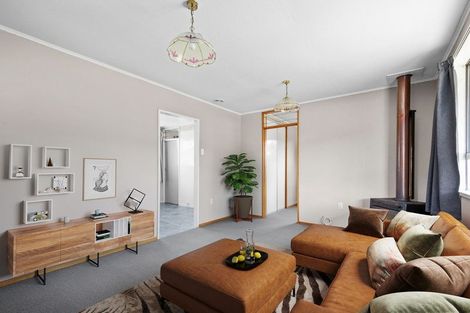 Photo of property in 111 Fache Street, Clyde, 9330