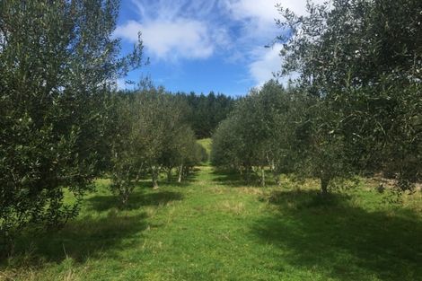 Photo of property in 4560 Pouto Road, Pouto, Te Kopuru, 0391