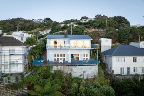 Photo of property in 17 Hornsey Road, Melrose, Wellington, 6023