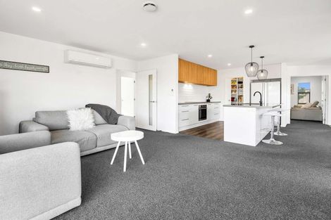 Photo of property in 98 Oaks Drive, Lincoln, 7608