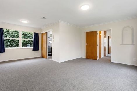 Photo of property in 163 Clarkin Road, Fairfield, Hamilton, 3214