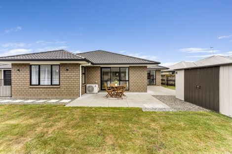 Photo of property in 13 Barry Curtis Place, Levin, 5510