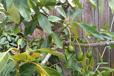 Photo of property in 10 Citation Way, Botany Downs, Auckland, 2010