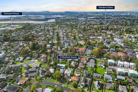 Photo of property in 25 Blacklock Avenue, Henderson, Auckland, 0612