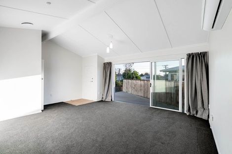 Photo of property in 60 Fitzroy Avenue, Fitzroy, Hamilton, 3206