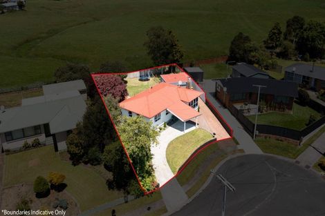 Photo of property in 14 Kowhai Place, Putaruru, 3411