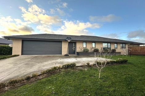 Photo of property in 46 Accolade Street, Feilding, 4702