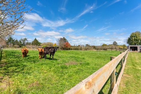 Photo of property in 8 Mangamingi Road, Mihi, Reporoa, 3083