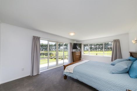 Photo of property in 481 Taonui Road, Colyton, Feilding, 4775