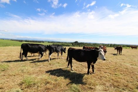 Photo of property in 372 Lindsay Calcium Road, Isla Bank, Otautau, 9683