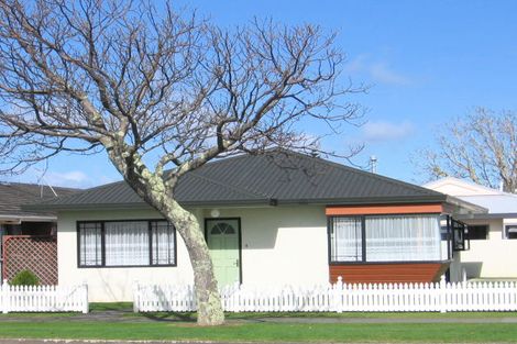 Photo of property in 73 Queen Street West, Levin, 5510