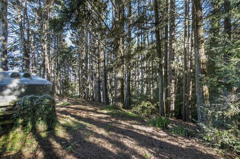 Photo of property in 6 Nandina Lane, Pukekohe, 2120