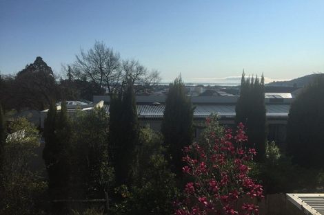 Photo of property in 39 Shelbourne Street, Nelson, 7010