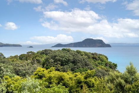 Photo of property in 1114 Colville Road, Amodeo Bay, Coromandel, 3584