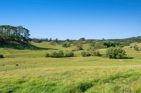 Photo of property in 211 Stoney Creek Road, Kaukapakapa, 0873
