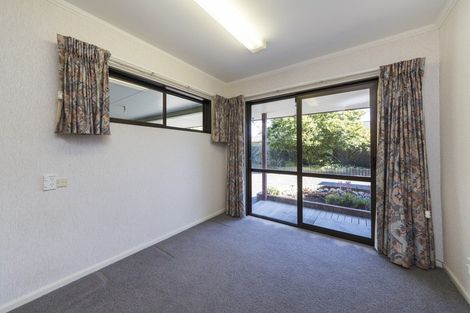 Photo of property in 225 The Terrace, Ashhurst, 4810