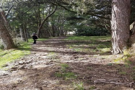 Photo of property in 243 Creamery Road, Kohukohu, 0491