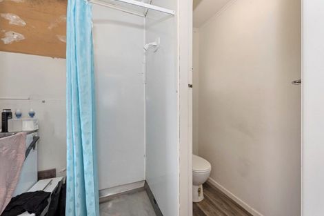 Photo of property in 330 Peachgrove Road, Fairfield, Hamilton, 3214