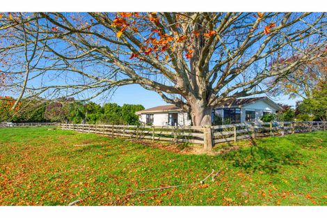 Photo of property in 31 Lee Martin Road, Tamahere, Hamilton, 3283