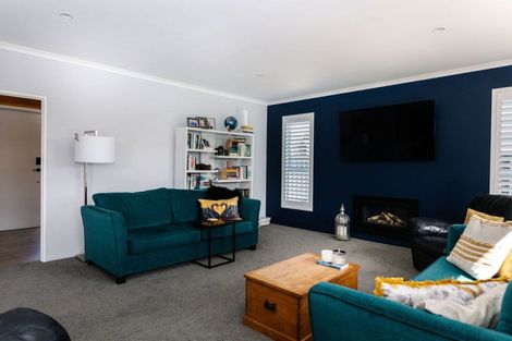 Photo of property in 39a Mcphee Street, Dannevirke, 4930