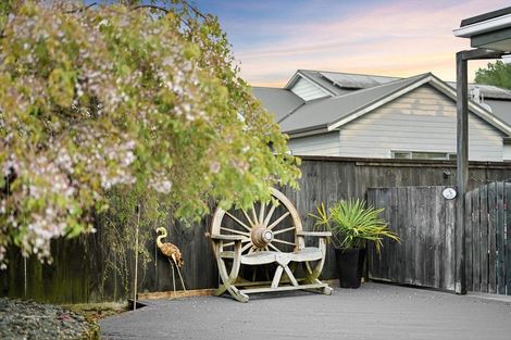 Photo of property in 135 Rimu Street, Maeroa, Hamilton, 3200