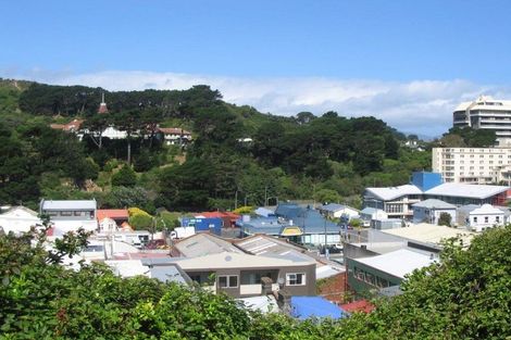 Photo of property in 173 Tasman Street, Mount Cook, Wellington, 6021