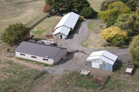 Photo of property in 455b State Highway 1, Bulls, 4894