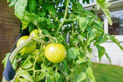 Photo of property in 28 Cruickshank Crescent, Rosedale, Invercargill, 9810