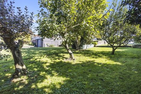 Photo of property in 7 Norrie Place, Putaruru, 3411