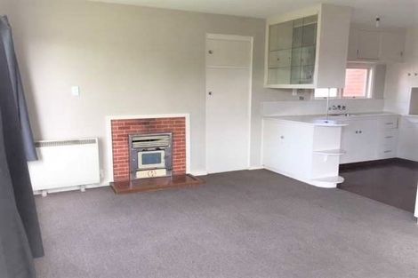 Photo of property in 17 Bird Street, Hampstead, Ashburton, 7700