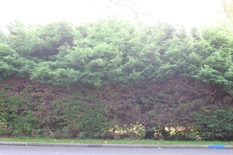 Photo of property in 491 West Coast Road, Glen Eden, Auckland, 0602