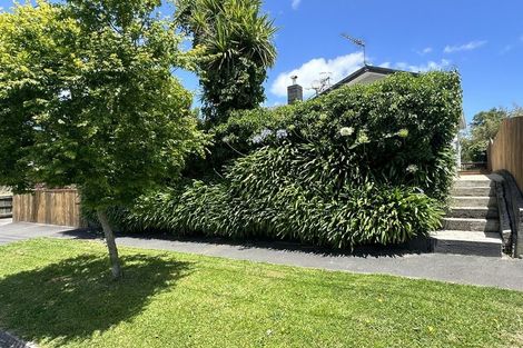 Photo of property in 161 Rimu Street, Maeroa, Hamilton, 3200