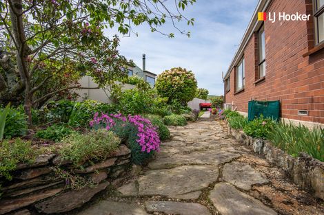 Photo of property in 31 Wickliffe Street, Mosgiel, 9024