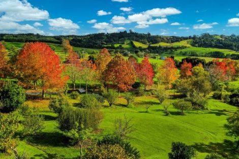 Photo of property in 428a Blackbridge Road, Dairy Flat, Albany, 0794