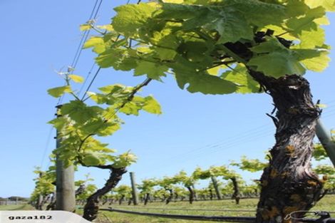 Photo of property in 18 Ivy Lane, Ohau, Levin, 5570