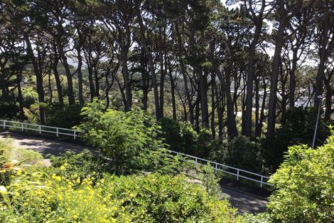 Photo of property in 2 Caprera Street, Melrose, Wellington, 6023