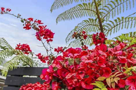 Photo of property in 6 Honnor Place, Hurdon, New Plymouth, 4310