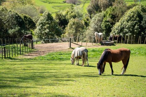 Photo of property in 178 Whitehall Road, Karapiro, Cambridge, 3496