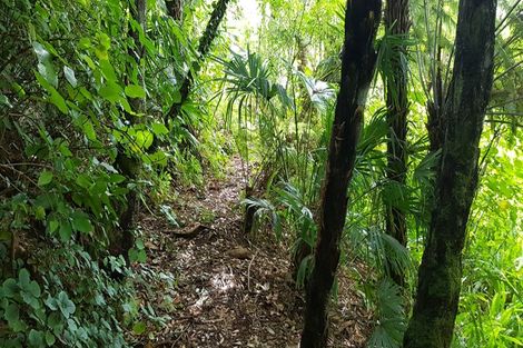 Photo of property in 113 Main Sh25 Road, Tairua, 3508