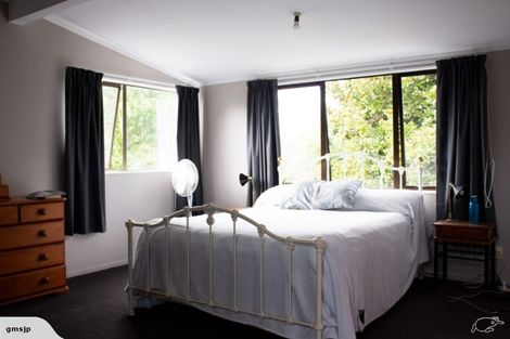 Photo of property in 62 Hazelwood Avenue, Dinsdale, Hamilton, 3204