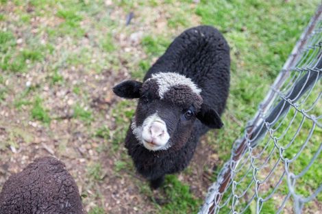 Photo of property in 161 Mckays Road, West Melton, Christchurch, 7671