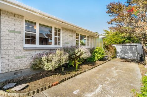 Photo of property in 60a Epuni Street, Hutt Central, Lower Hutt, 5011