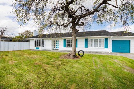 Photo of property in 286 Tremaine Avenue, Takaro, Palmerston North, 4412