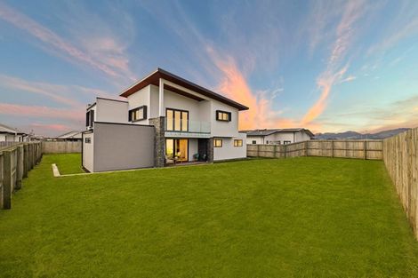 Photo of property in 29 Lotus Place, Wigram, Christchurch, 8025