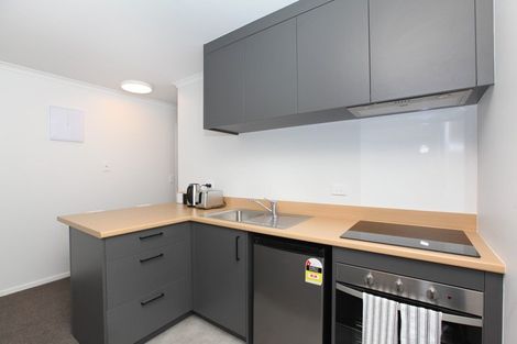 Photo of property in 2/13 Crescent Court, Melville, Hamilton, 3206