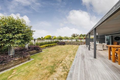 Photo of property in 97 Reid Line East, Aorangi, Feilding, 4775